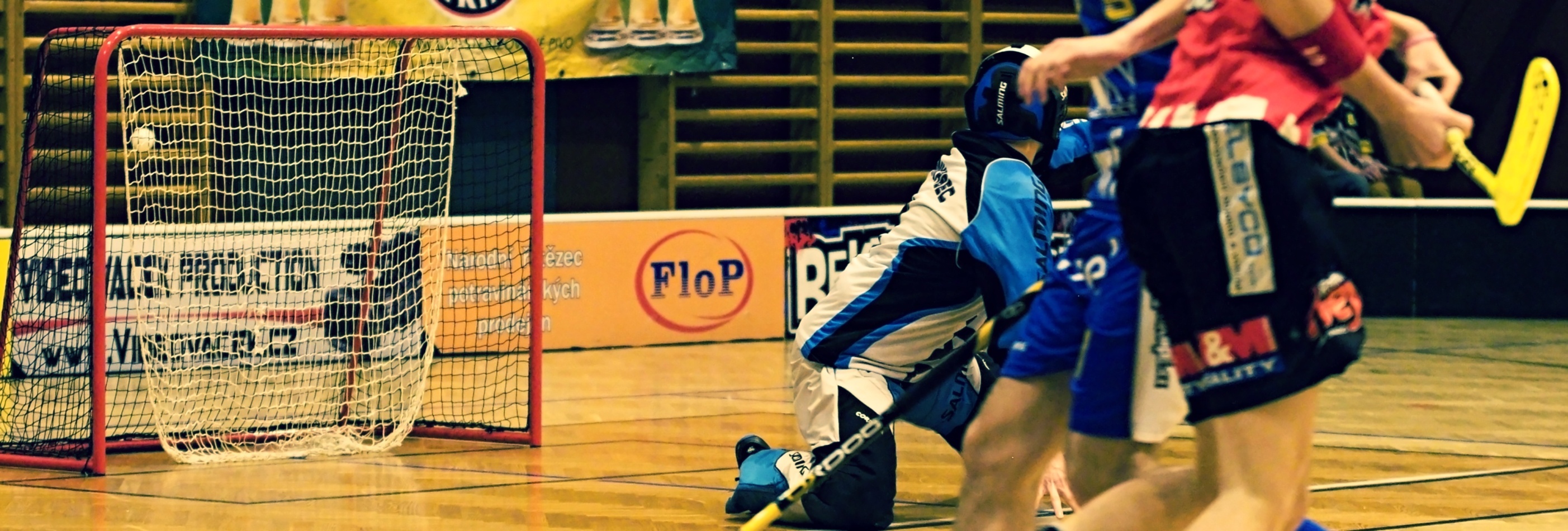 Pe.A   PArdubice 16.2.2013 (14)